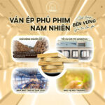 Van ep phu phim Nam Nhien ben vung