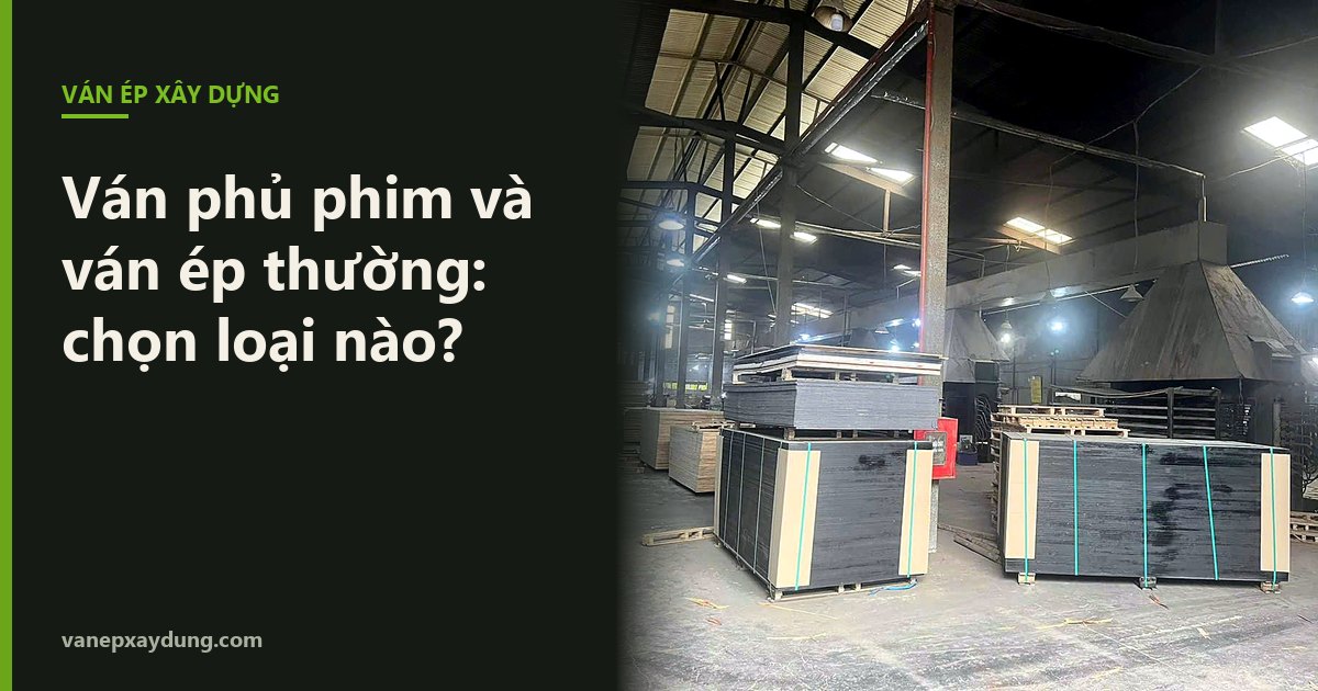So sánh ván phủ phim và ván ép thường: nên chọn loại nào làm cốp pha?